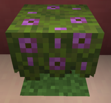 minecraft bedrock edition 1.17.0 скриншот 25