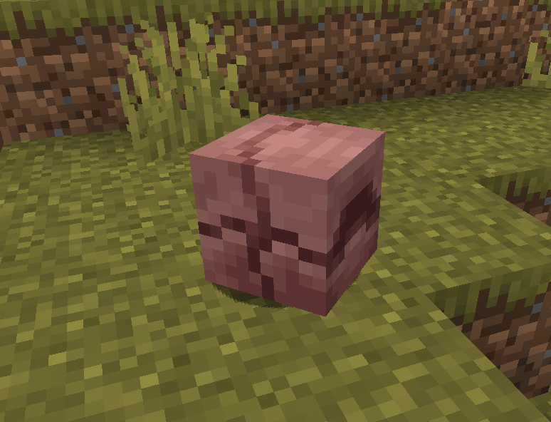 Screenshot 3 Minecraft 1.20.5