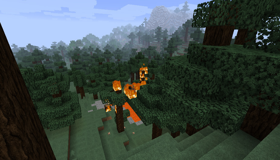 An example of the texture pack in Minecraft